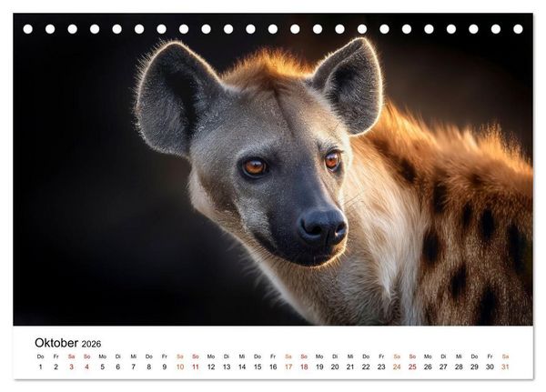 Produktbild: Hy&auml;nen - Afrikas geheimnisvolle J&auml;ger (Tischkalender 2026 DIN A5 quer), CALVENDO Monatskalender