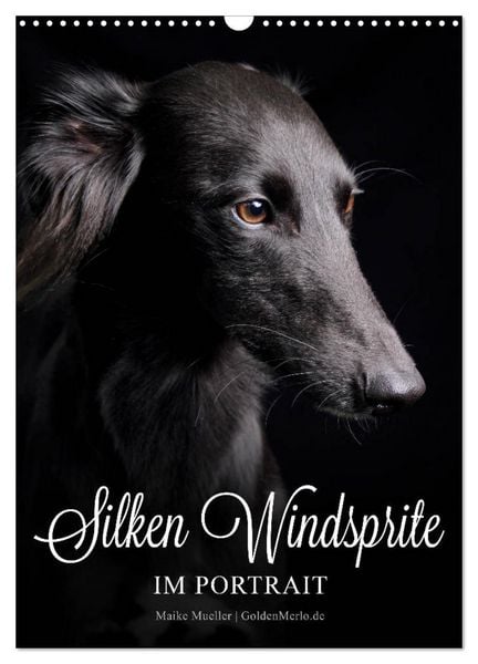 Silken Windsprite im Portrait (Wandkalender 2026 DIN A3 hoch), CALVENDO Monatskalender