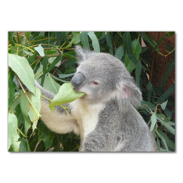 Produktbild: Lais Puzzle Koala Australien 1000 Teile