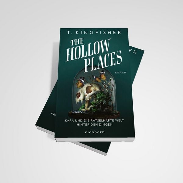 Produktbild: The Hollow Places