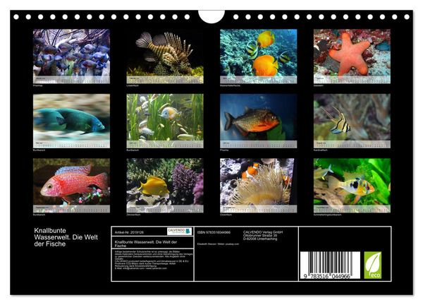Produktbild: Knallbunte Wasserwelt. Die Welt der Fische (Wandkalender 2026 DIN A4 quer), CALVENDO Monatskalender