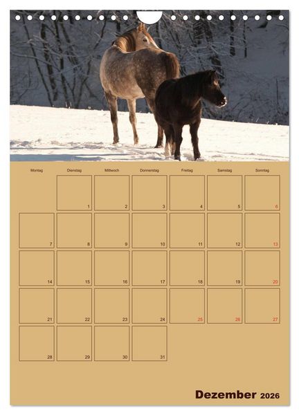 Produktbild: Pferde Gute Freunde (Wandkalender 2026 DIN A4 hoch), CALVENDO Monatskalender