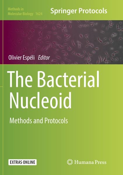 Produktbild: The Bacterial Nucleoid
