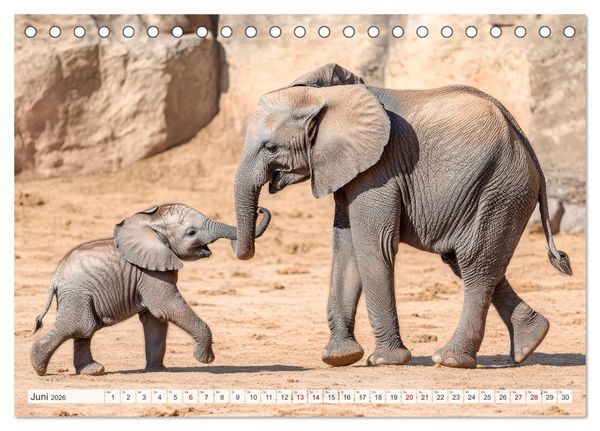 Produktbild: M&uuml;tterherzen im wilden Tierreich (Tischkalender 2026 DIN A5 quer), CALVENDO Monatskalender