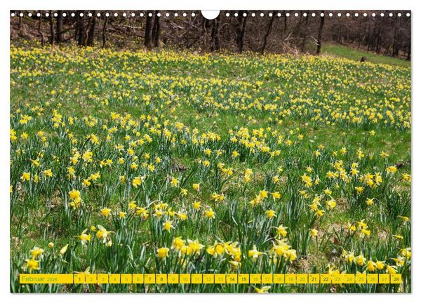 Produktbild: Eifel Sehnsucht (Wandkalender 2026 DIN A3 quer), CALVENDO Monatskalender