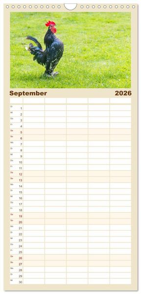 Produktbild: Familienplaner 2026 - Geliebte Tiere auf dem Bauernhof mit 5 Spalten (Wandkalender, 21 x 45 cm) CALVENDO