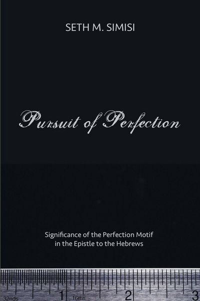 Produktbild: Pursuit of Perfection