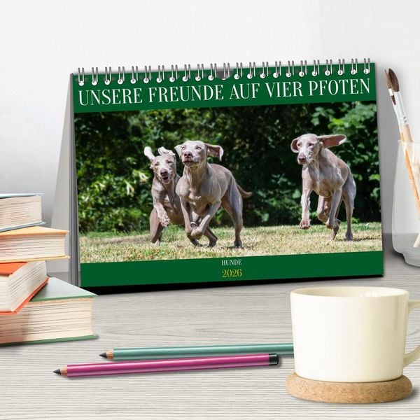 Produktbild: Unsere Freunde auf vier Pfoten - Hunde (Tischkalender 2026 DIN A5 quer), CALVENDO Monatskalender