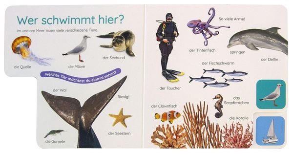 Produktbild: Erstes Lernen Pocket. Am Meer