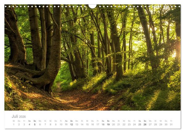 Produktbild: R&uuml;gen ein Sommertraum (Wandkalender 2026 DIN A3 quer), CALVENDO Monatskalender
