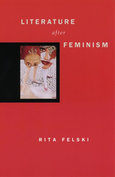 Produktbild: Literature after Feminism