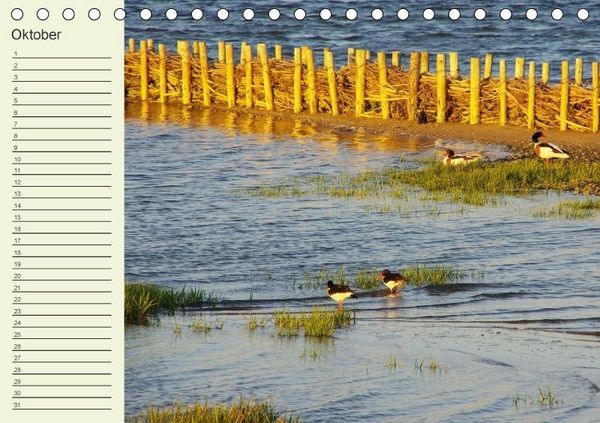 Produktbild: Amrum Geburtstagsmerker (Tischkalender immerw&auml;hrend DIN A5 quer)