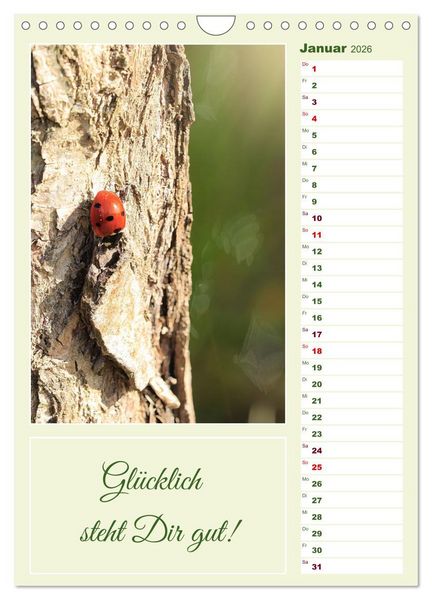 Produktbild: Marienk&auml;fer, Gl&uuml;cksbringer mit sieben Punkten (Wandkalender 2026 DIN A4 hoch), CALVENDO Monatskalender