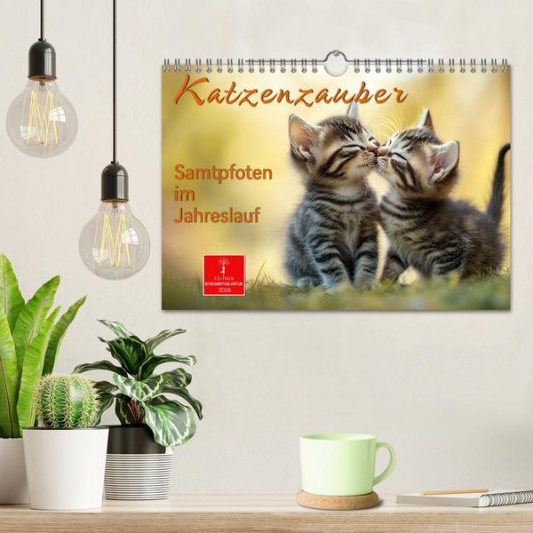 Produktbild: Katzenzauber - Samtpfoten im Jahreslauf (Wandkalender 2026 DIN A4 quer), CALVENDO Monatskalender