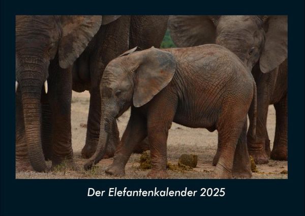 Produktbild: Der Elefantenkalender 2025 Fotokalender DIN A4