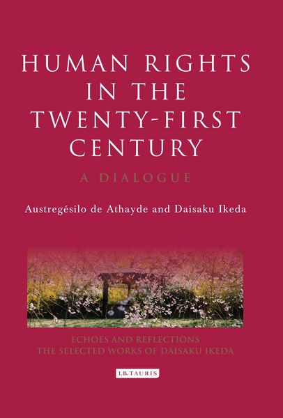 Produktbild: Human Rights in the Twenty-first Century