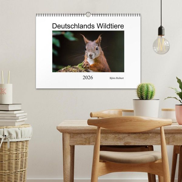 Produktbild: Deutschlands Wildtiere (Wandkalender 2026 DIN A3 quer), CALVENDO Monatskalender