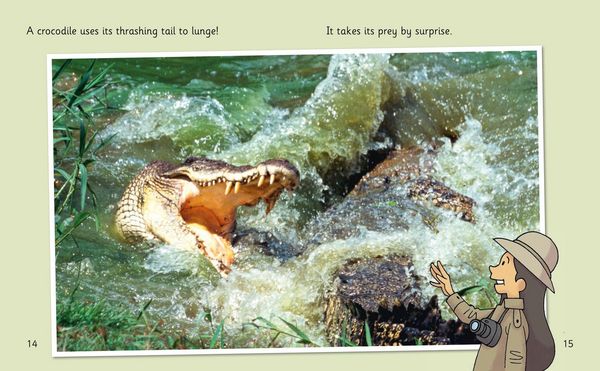 Produktbild: Crocs and Rocks