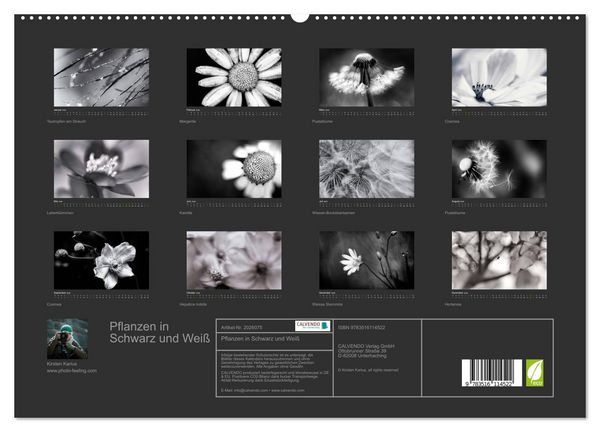 Produktbild: Pflanzen in Schwarz und Wei&szlig; (hochwertiger Premium Wandkalender 2026 DIN A2 quer), Kunstdruck in Hochglanz