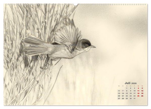 Produktbild: Wilde Seelen - Tierische Momente in Graphit (hochwertiger Premium Wandkalender 2026 DIN A2 quer), Kunstdruck in Hochglanz