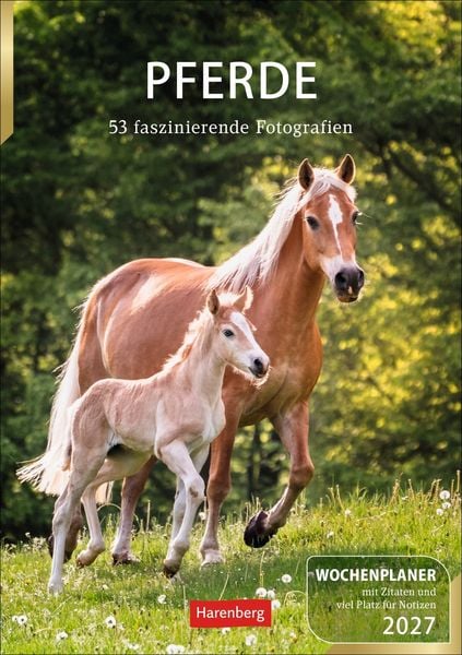 Produktbild: Pferde Wochenplaner 2027 - 53 faszinierende Fotografien