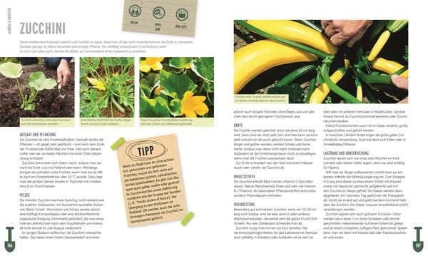Produktbild: Ackerhelden - Biog&auml;rtnern f&uuml;r Einsteiger