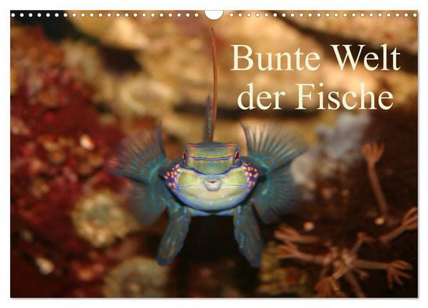 Bunte Welt der Fische (Wandkalender 2026 DIN A3 quer), CALVENDO Monatskalender