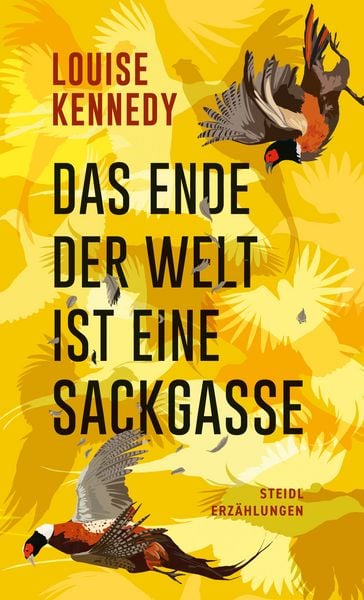 Das Ende der Welt ist eine Sackgasse, Gebundene Ausgabe von Louise Kennedy, Steidl Verlag, 9783969994580