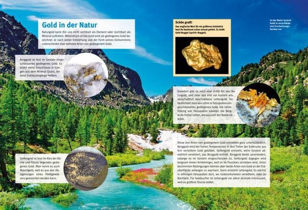 Produktbild: Entdecke das Gold