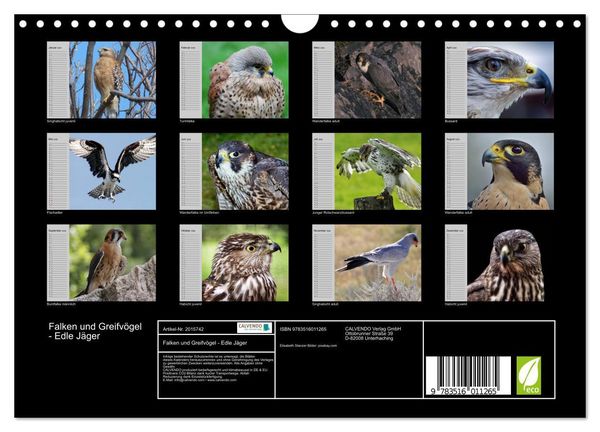 Produktbild: Falken und Greifv&ouml;gel - Edle J&auml;ger (Wandkalender 2026 DIN A4 quer), CALVENDO Monatskalender