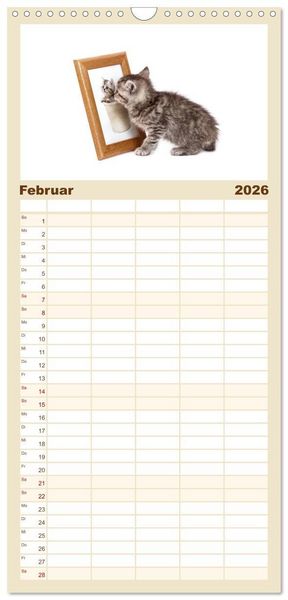Produktbild: Familienplaner 2026 - Katzenbabys mit 5 Spalten (Wandkalender, 21 x 45 cm) CALVENDO