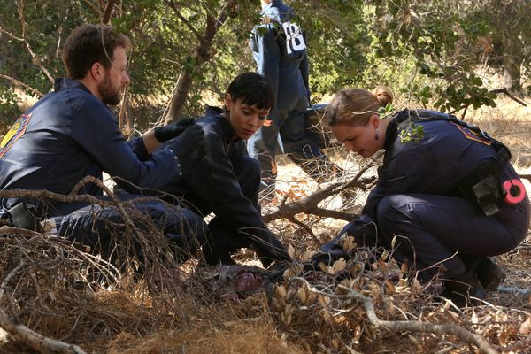 Produktbild: Bones - Season 10 [6 DVDs]
