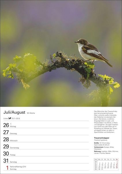 Produktbild: Heimische V&ouml;gel Wochenplaner 2027 - 53 faszinierende Fotografien