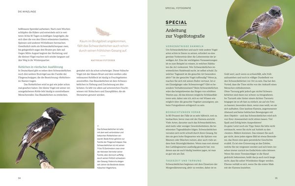 Produktbild: Die magische Welt unserer V&ouml;gel