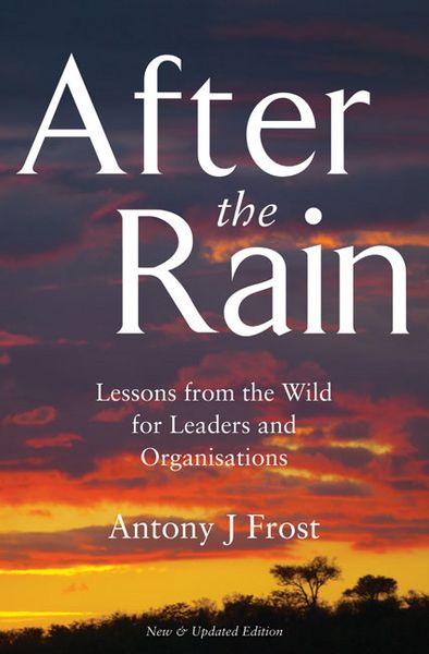 Produktbild: After The Rain Second Edition