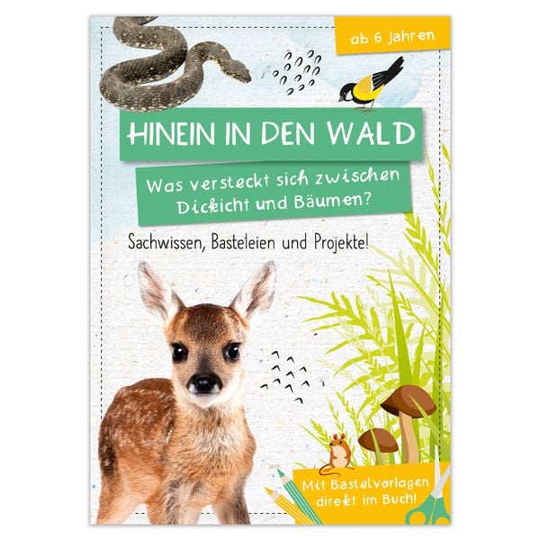 Produktbild: Activity Heft: Hinein in den Wald - Was versteckt sich zwischen Dickicht und B&auml;umen?