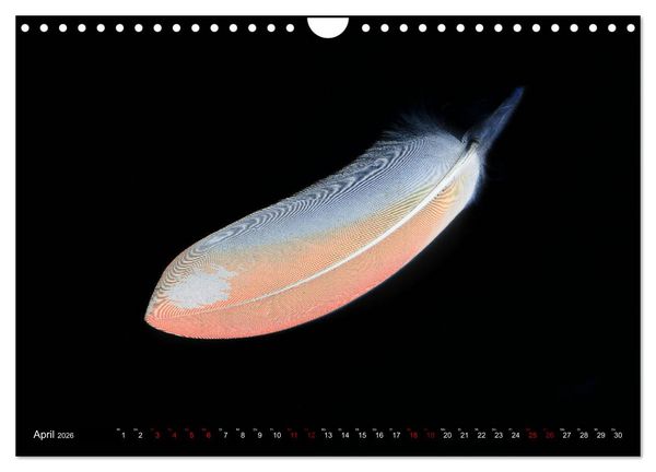 Produktbild: Federleichte Momente (Wandkalender 2026 DIN A4 quer), CALVENDO Monatskalender