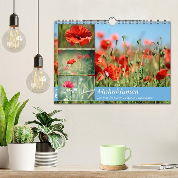 Produktbild: Mohnblumen (Wandkalender 2026 DIN A4 quer), CALVENDO Monatskalender