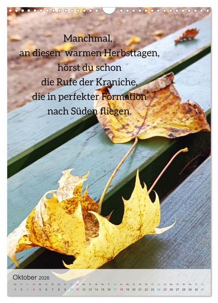 Produktbild: Manchmal - Poetische Momentaufnahmen (Wandkalender 2026 DIN A3 hoch), CALVENDO Monatskalender