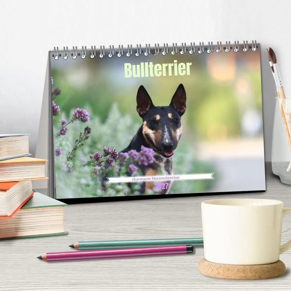 Produktbild: Bullterrier - charmante Herzensbrecher (Tischkalender 2027 DIN A5 quer), CALVENDO Monatskalender