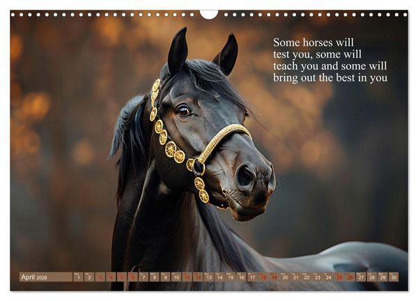 Produktbild: A Horse Makes You Complete (Wall Calendar 2026 DIN A3 landscape), CALVENDO 12 Month Wall Calendar