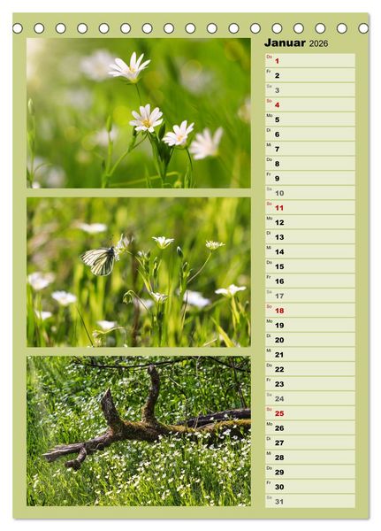 Produktbild: Farbenzauber, bunte Wiesen und bunte Falter (Tischkalender 2026 DIN A5 hoch), CALVENDO Monatskalender