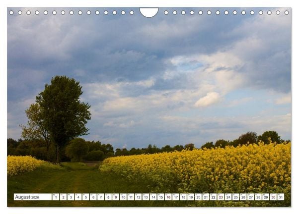 Produktbild: Osterholz-Scharmbeck, Natur-Impressionen aus dem Teufelsmoor (Wandkalender 2026 DIN A4 quer), CALVENDO Monatskalender