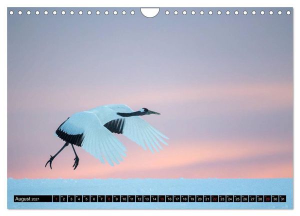 Produktbild: Japanische Vogelwelt im Winter (Wandkalender 2027 DIN A4 quer), CALVENDO Monatskalender