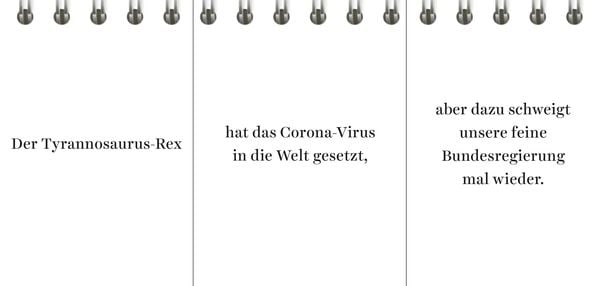 Produktbild: Der Desinformator