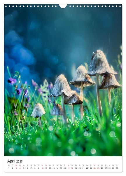 Produktbild: Pilzzeit - Leben auf dem Waldboden (Wandkalender 2027 DIN A3 hoch), CALVENDO Monatskalender