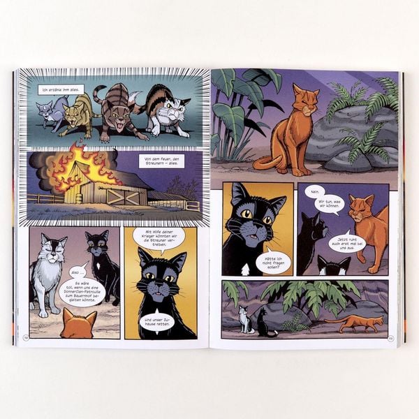 Produktbild: Warrior Cats - Rabenpfotes Weg