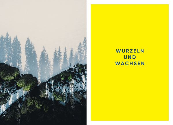 Produktbild: Zusammen wachsen