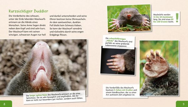 Produktbild: Meine gro&szlig;e Tierbibliothek: Der Maulwurf