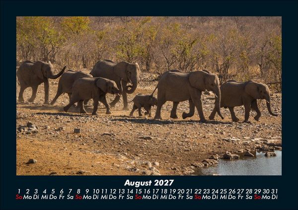Produktbild: Der Elefantenkalender 2027 Fotokalender DIN A5